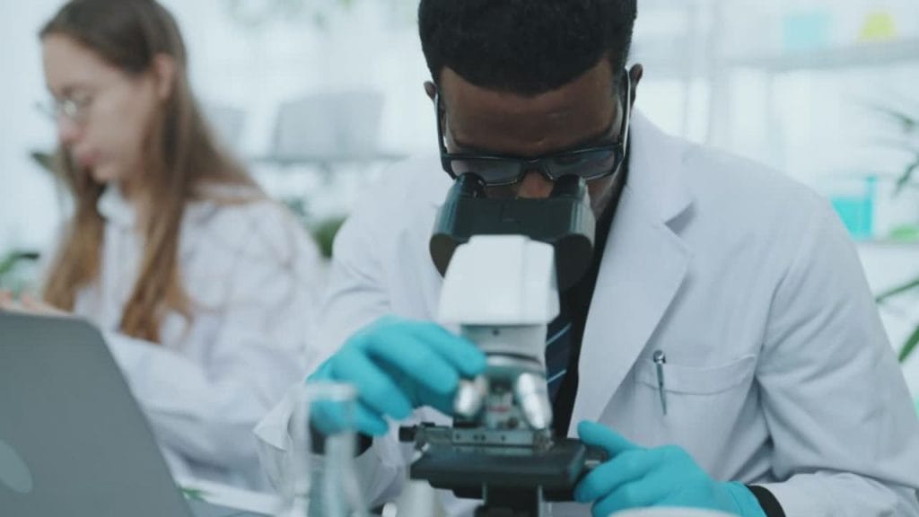 Understanding the Massachusetts medical marijuana program